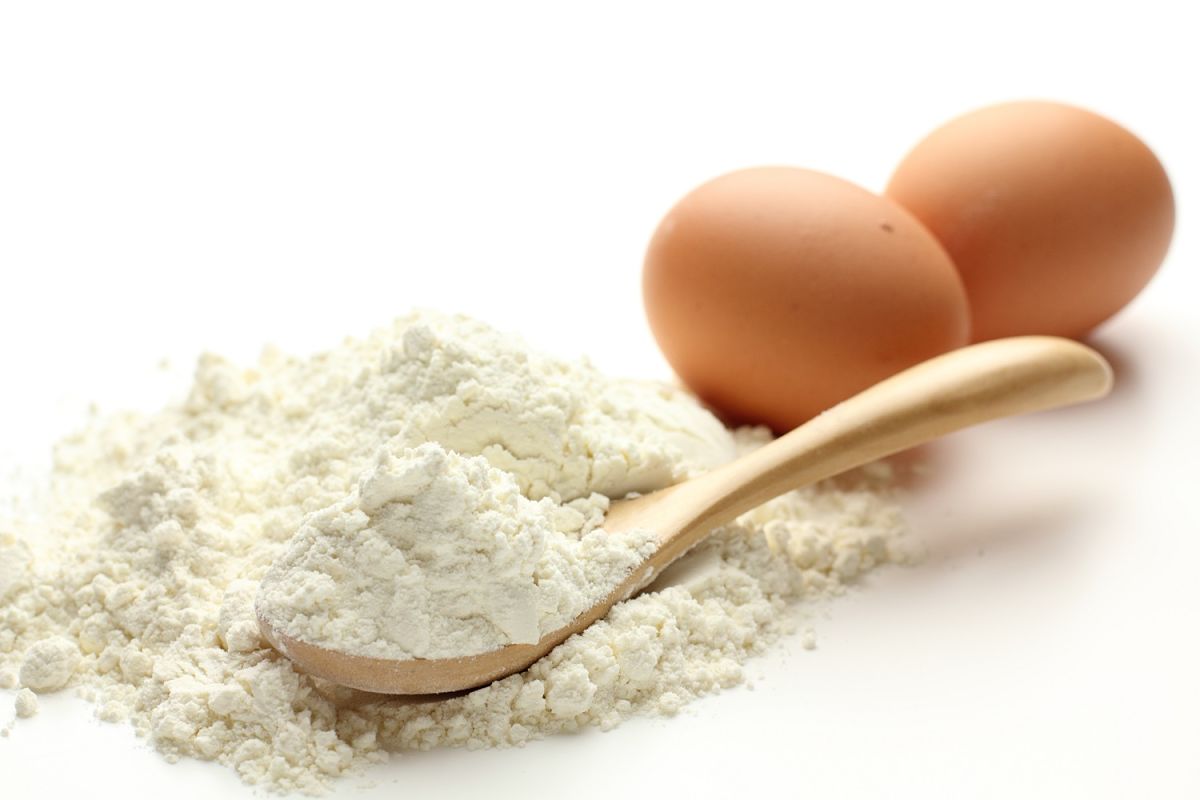egg albumin powder
